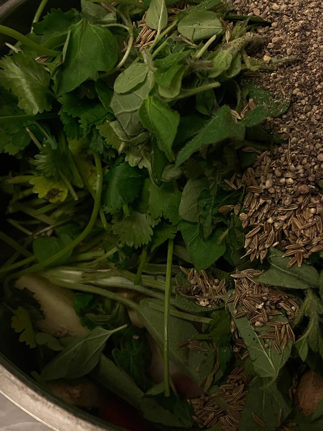Fresh green herbs in a bunch