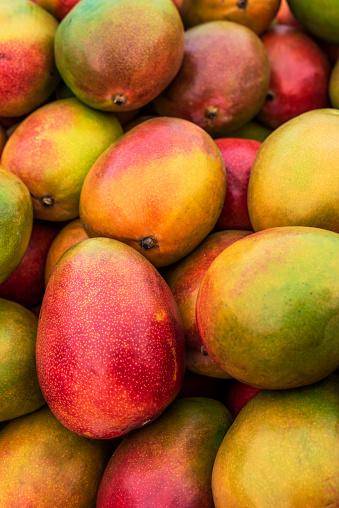 Ripe mangoes