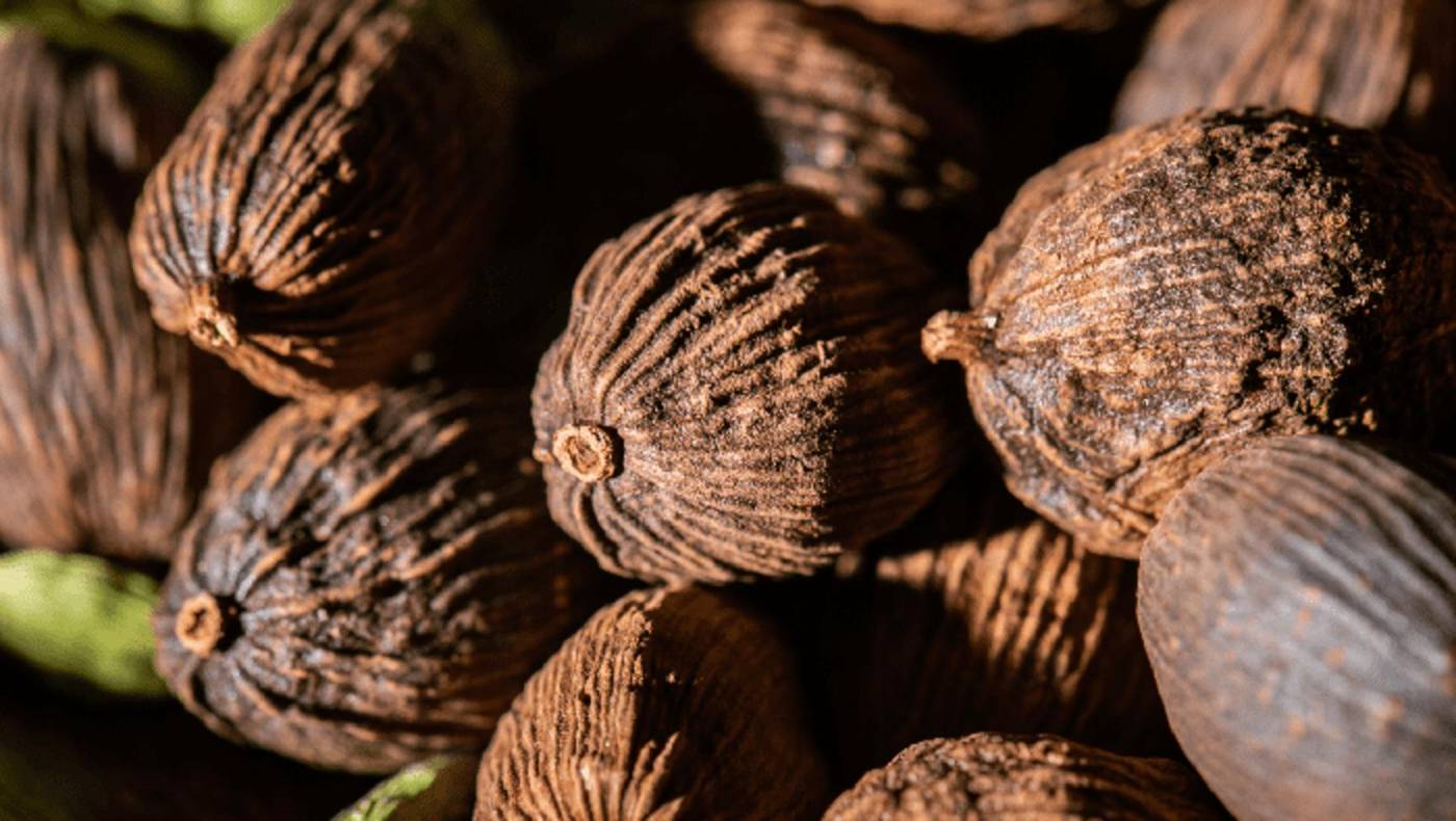 Whole nutmeg, close up