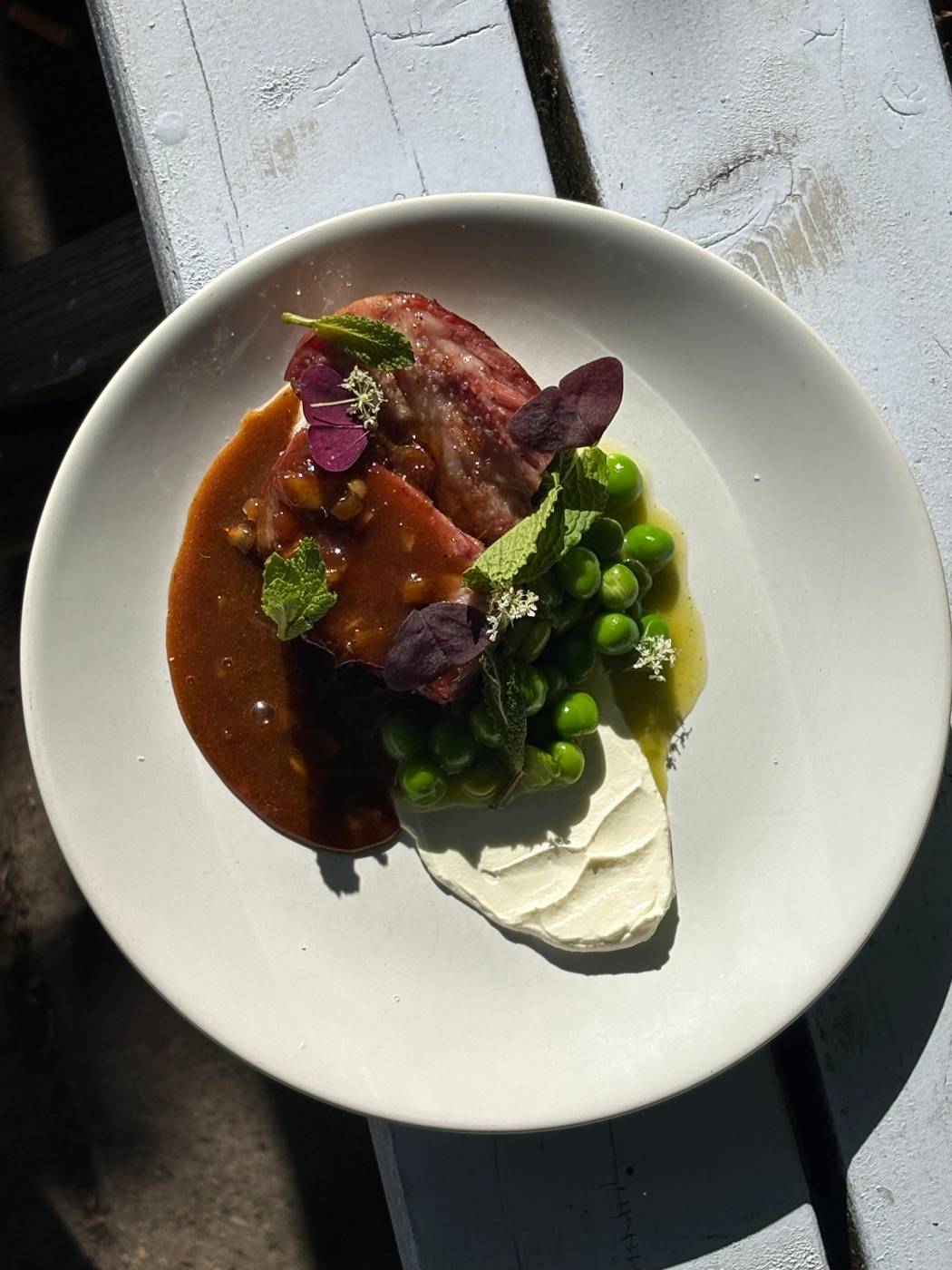 Seared meat over a dark jus with a spoon of crème fraîche and green peas, on a white plate in sunlight