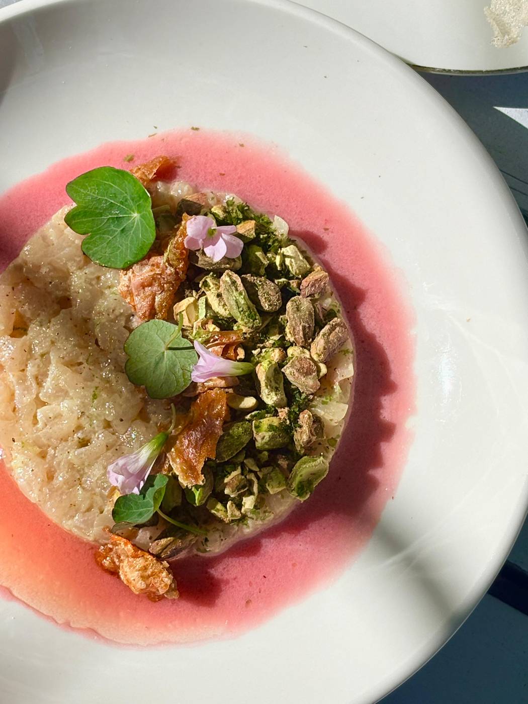 Crusted fish over beet sauce with fresh herbs, on a white plate