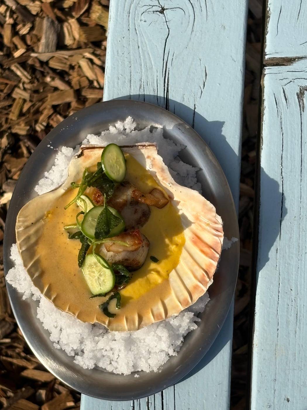 Scallop served in its shell on weathered white wood