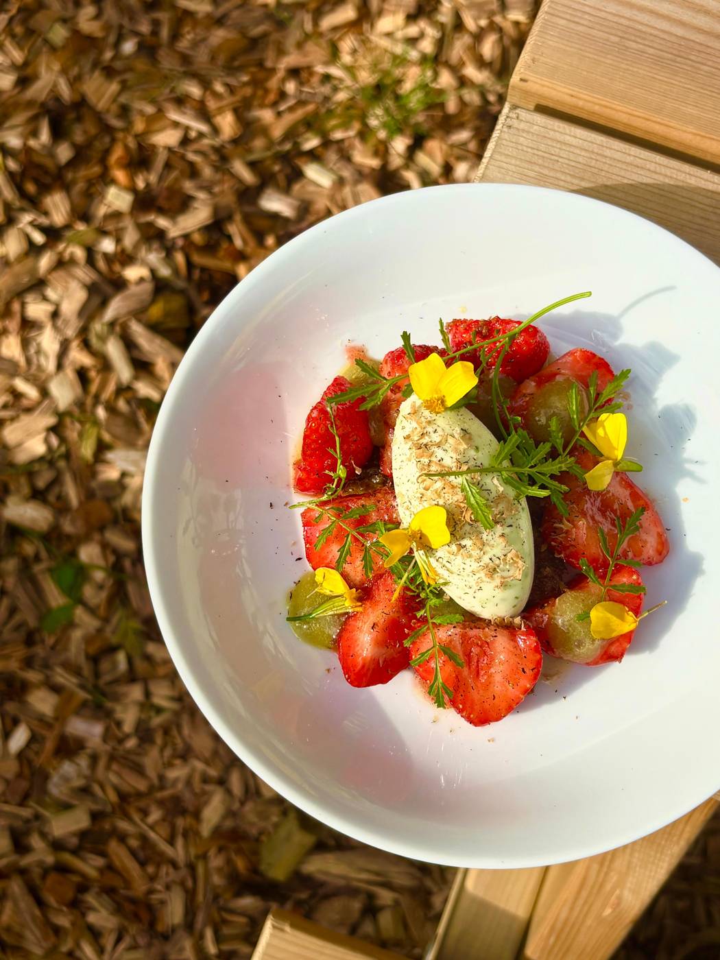 Tomato salad with fresh herbs, served outdoors